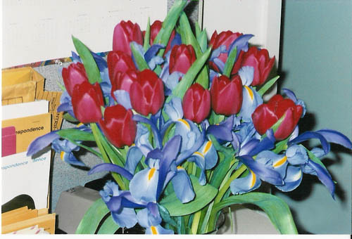 val_flowers_06.jpg